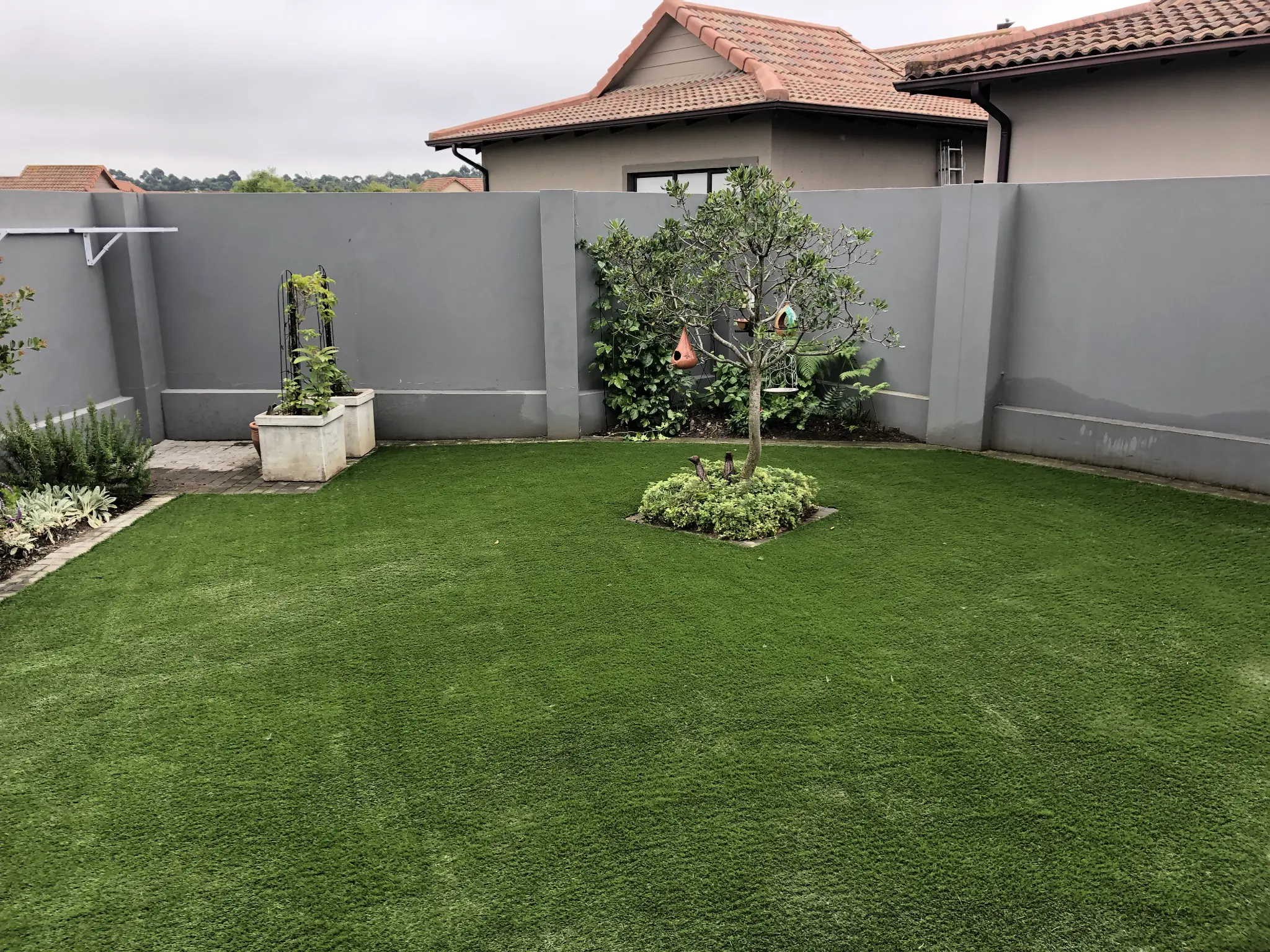 Artificial grass lawn with a central planted tree and garden borders