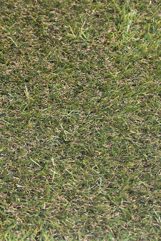 Close-up texture of 25mm Autumn artificial grass
