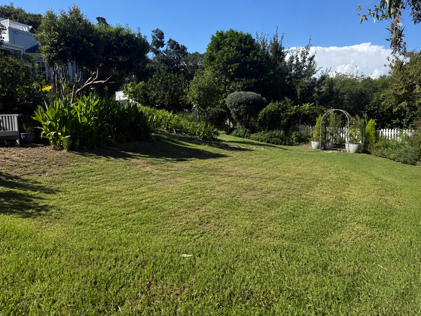 Existing lawn before the Knysna putting green installation